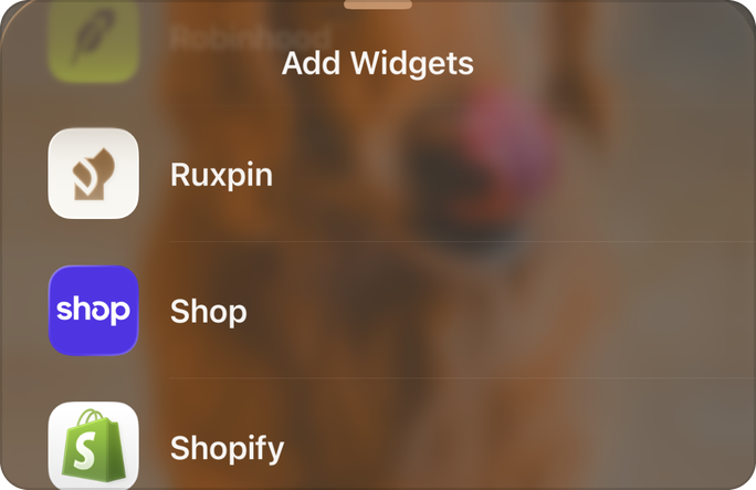 The Add Widgets list, with Ruxpin in it
